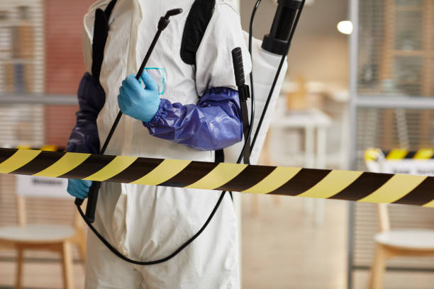 Professional Sewage Cleanup technician working in Kirkwood, CA